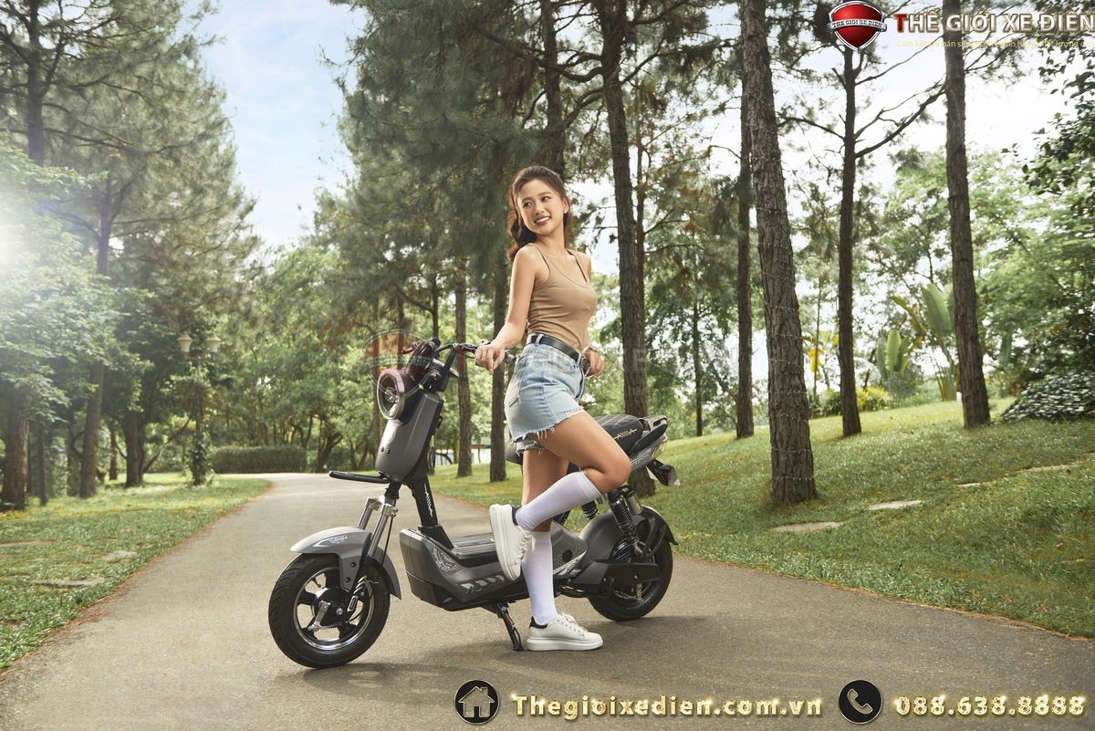 xe đạp điện giá rẻ